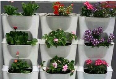 露台阳台立体组合花架/种菜花盆/草莓花墙种植箱