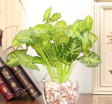 透明玻璃花盆花瓶+绿色仿真植物 金钱叶装饰花 花艺套装